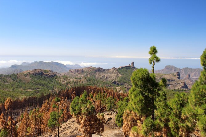 Full day Hiking Gran Canaria Peaks of Gran Canaria - Price and value: what you get for $84.66