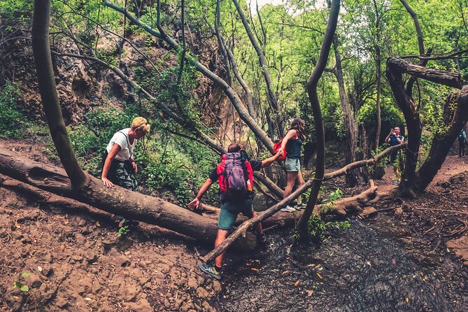 Full Day Rainforest Tour with Tasting and Swimming Time ツ - What to pack so the day stays fun