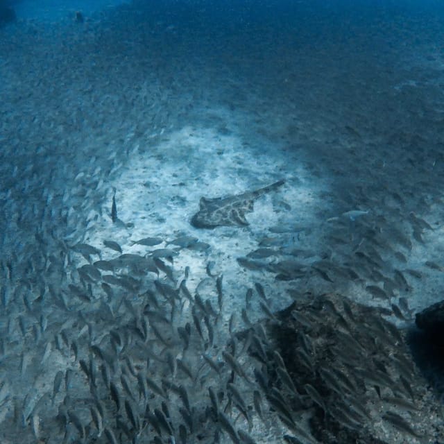 Gran Canaria: 3-Day Open Water Diver Course - Day-by-Day Training Flow, in Plain Terms
