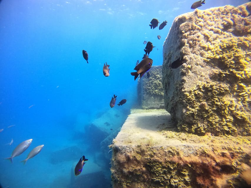 Gran Canaria: 3-Day Open Water Diver Course - Day Two: More Theory, Final Exam, and Atlantic Training Time