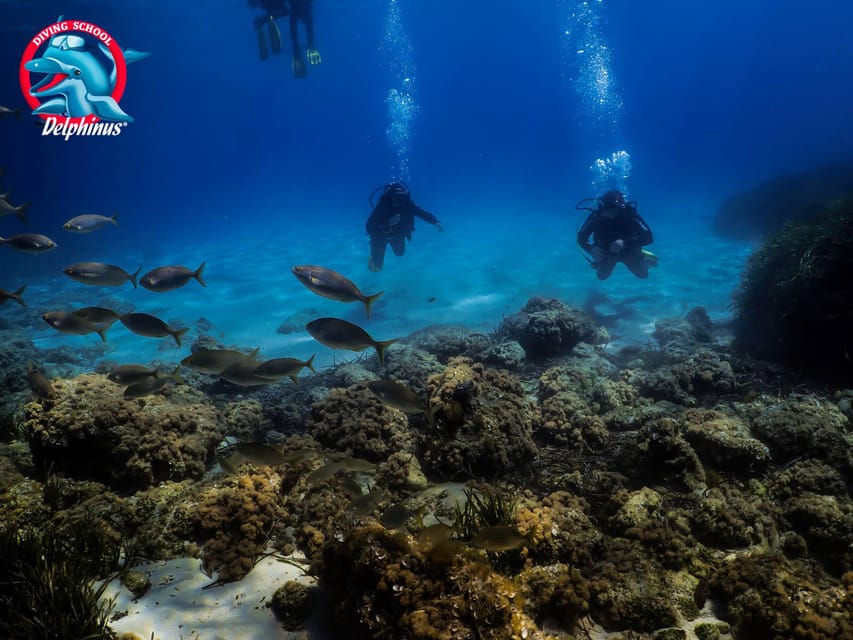 Gran Canaria: 3-Day Open Water Diver Course - Day Three: Two Open-Water Sessions, White Sand Coasts, and Real Confidence
