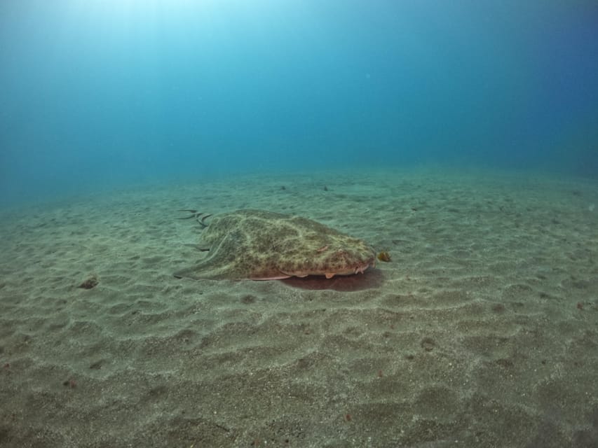 Gran Canaria: 3-Day Open Water Diver Course - Where This Course Works Best for You