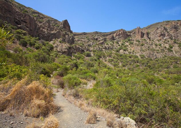 Gran Canaria 7 Highlights Small Group Tour with Tapas Picnic - Key Things You Will Actually Care About