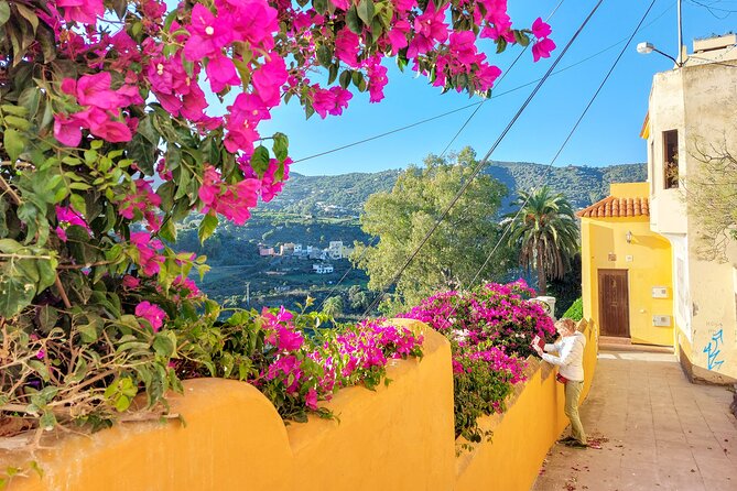Gran Canaria 7 Highlights Small Group Tour with Tapas Picnic - A Small-Group Day That Connects Ocean, Towns, and Mountain Air