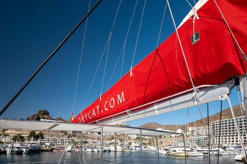 Gran Canaria: All-inclusive tour in the south of Gran Canaria - Snorkeling and swimming: gear is included, so just show up ready