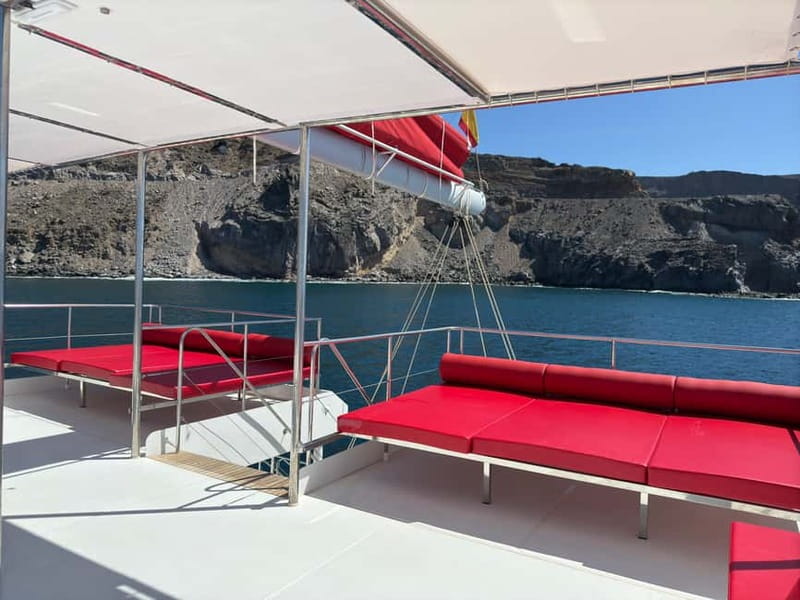 Gran Canaria: All-inclusive tour in the south of Gran Canaria - Price and value: why $81 can feel like a good deal
