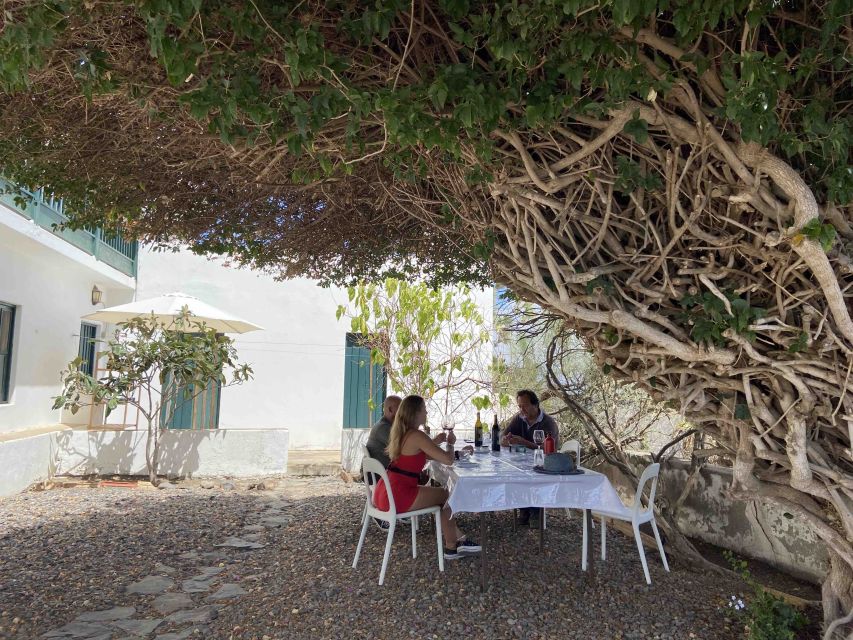 Gran Canaria: Best Wineries and Views Tour - Pairings with local traditional products, from cheese to farm-style bites