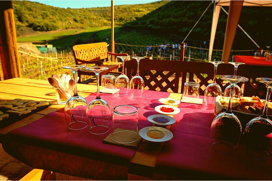 Gran Canaria: Best Wineries and Views Tour - Who this is best for, and who should skip it