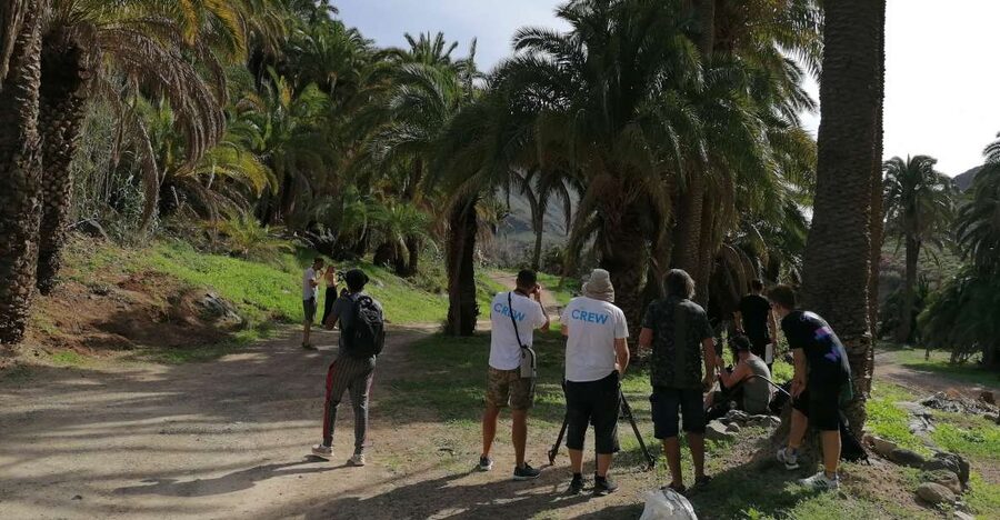 Gran Canaria: Camel Ride at Camel Safari Park - Before the Camel: Feeding Animals and Wandering the Tropical Garden