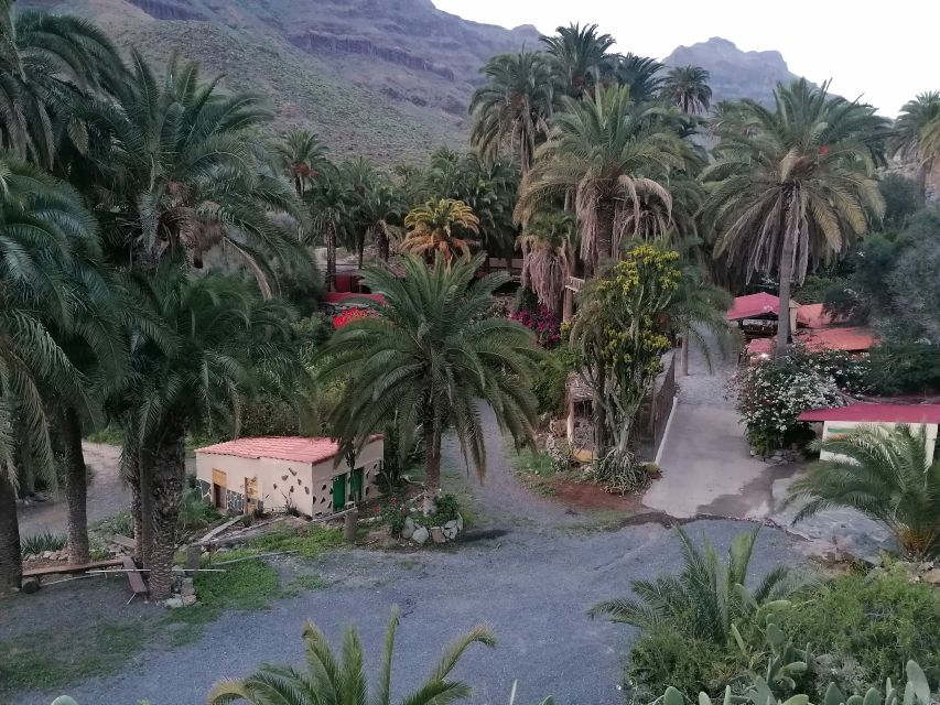 Gran Canaria: Camel Ride at Camel Safari Park - Practical Tips That Make Your Visit Smoother