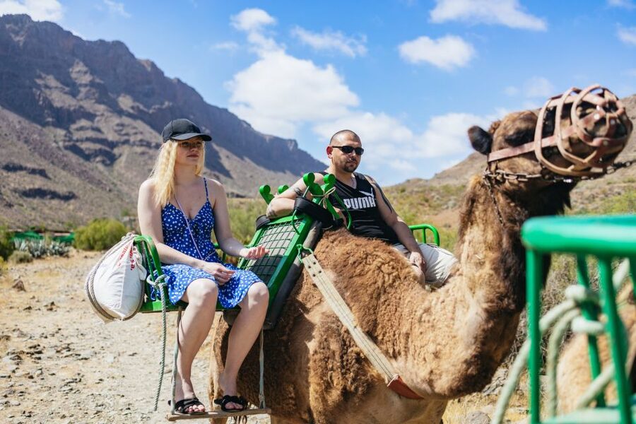 Gran Canaria: Camel Ride Safari w/ Optional Food & Transport - Key points to know before you go
