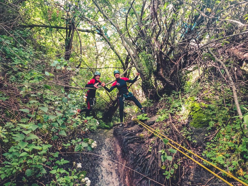 Gran Canaria: Canyoning in the Rainforest - Key highlights you should actually care about