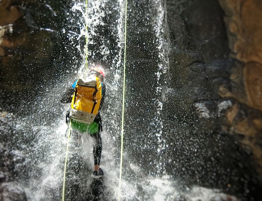 Gran Canaria: Canyoning Trip - Price and value: is $77 worth it on Gran Canaria?