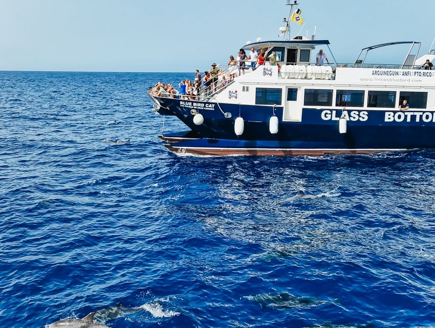 Gran Canaria: Catamaran Dolphin Watch Cruise with Snorkeling - Puerto Base and the catamaran start: getting out fast