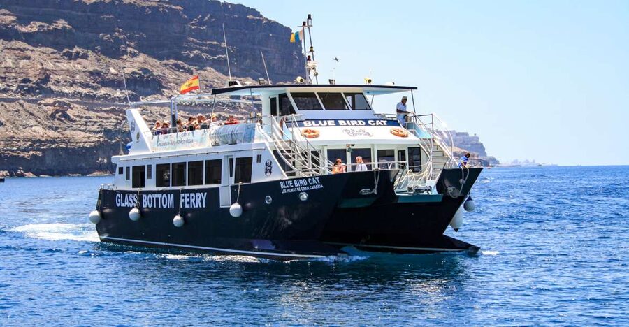 Gran Canaria: Catamaran Dolphin Watch Cruise with Snorkeling - Below-deck glass panels: marine life viewing with weather-proof comfort