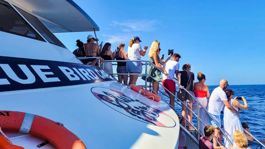 Gran Canaria: Catamaran Dolphin Watch Cruise with Snorkeling - Practical tips that improve your odds and your comfort