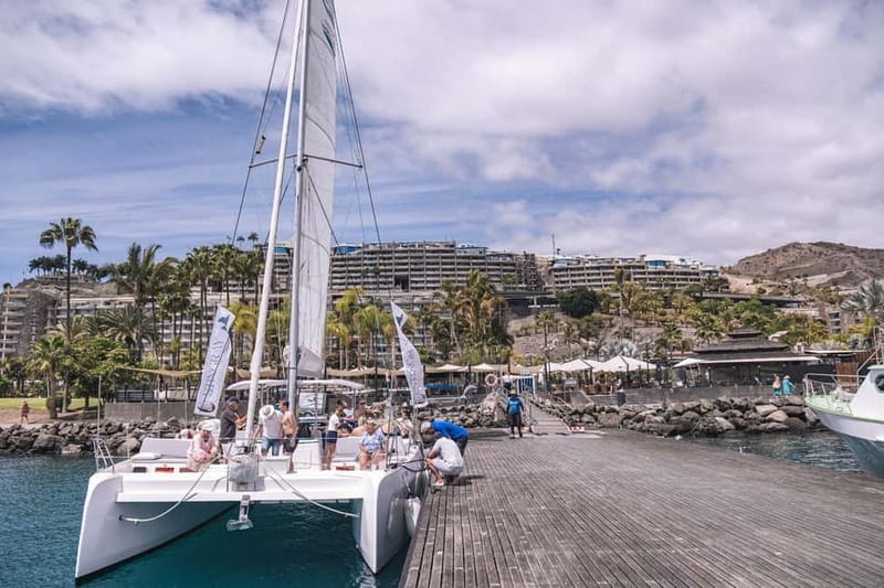Gran Canaria: Catamaran Tour with Lunch on Pristine Beaches - The catamaran experience: space, stability, and crew that actually work