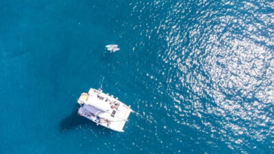Catamaran Tour with Lunch on Pristine Beaches