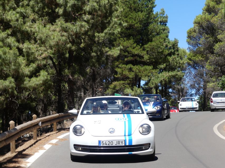 Gran Canaria: Convertible Beetle Tour - Mirador Astronómico de la Degollada de las Yeguas: your first look at the island