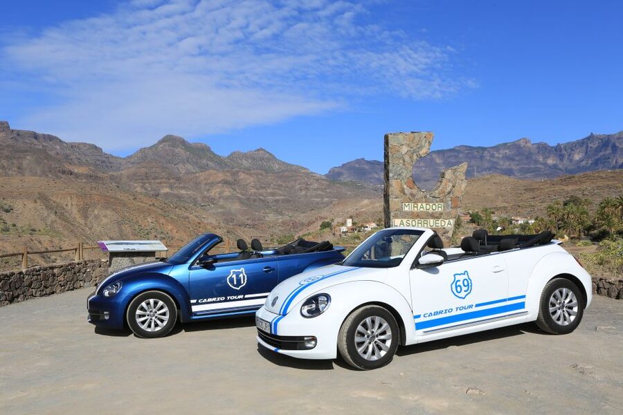 Gran Canaria: Convertible Beetle Tour - Aloe Vera Finca Canarias: a guided stop that mixes learning with sales energy