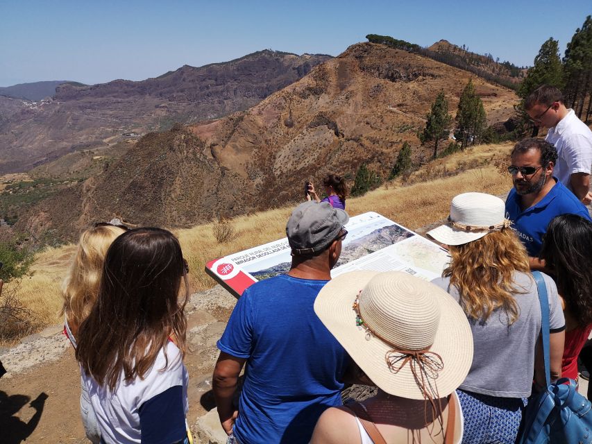 Gran Canaria: Customizable Private Tour - Private pickup from Las Palmas, small group energy