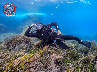 Discover Scuba Diving Beginner Program