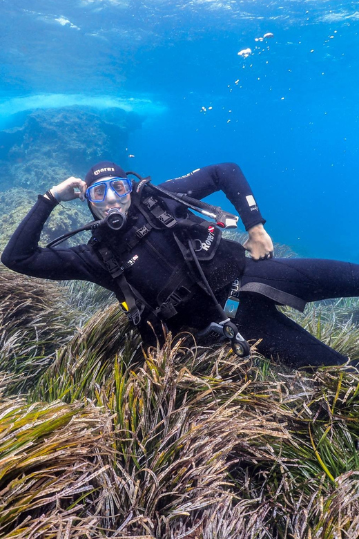 Gran Canaria: Discover Scuba Diving Beginner Program - Price and value: what $117 gets you, and what it does not