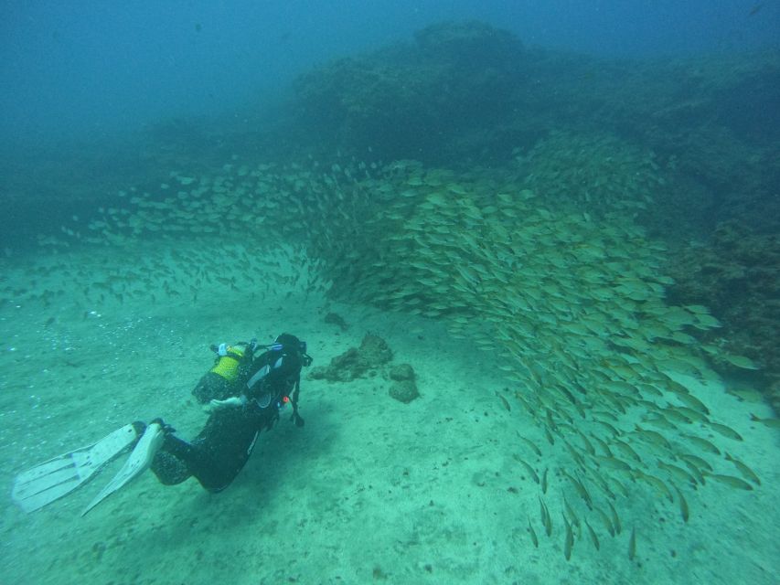 Gran Canaria: Discover Scuba Diving - Free Transfers - Key things I’d put on your radar