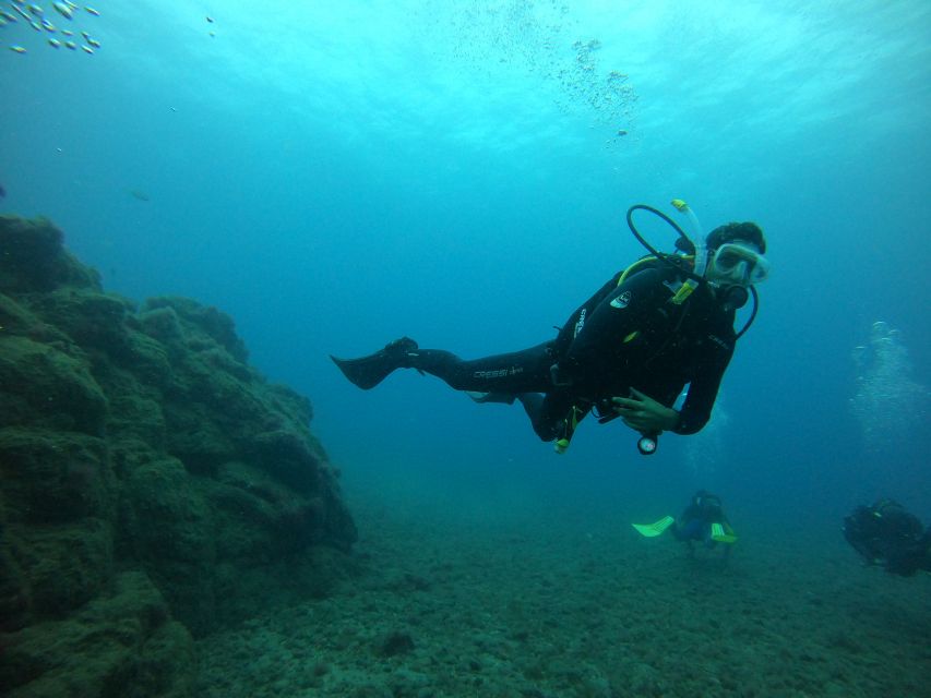 Gran Canaria: Discover Scuba Diving - Free Transfers - Practical tips before you go (so nothing distracts you)