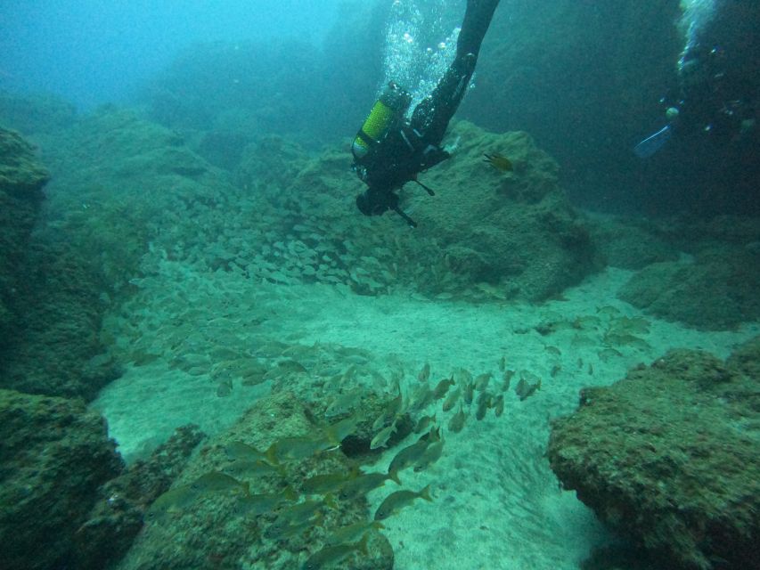 Gran Canaria: Discover Scuba Diving - Free Transfers - The water spot switch: Amadores or Tufia