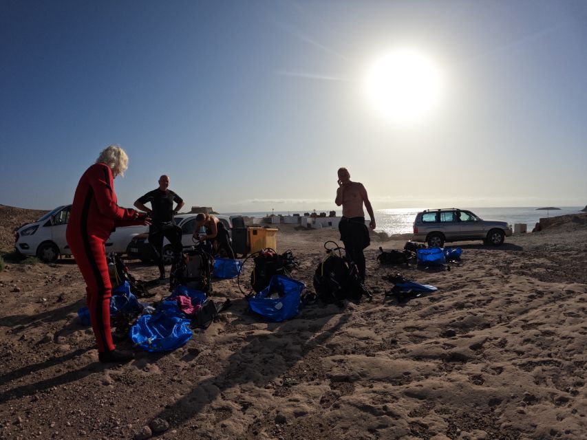 Gran Canaria: Discover Scuba Diving - Free Transfers - What you see underwater: rays, angel sharks, and friends