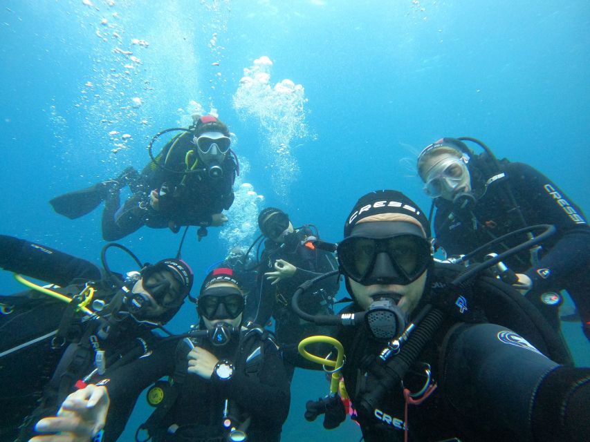 Gran Canaria: Discover Scuba Diving - Free Transfers - Gear and instruction quality: Cressi plus real support