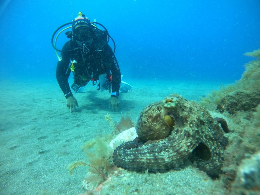 Gran Canaria: Discover Scuba Diving - Free Transfers - Who this suits best, and who should skip it