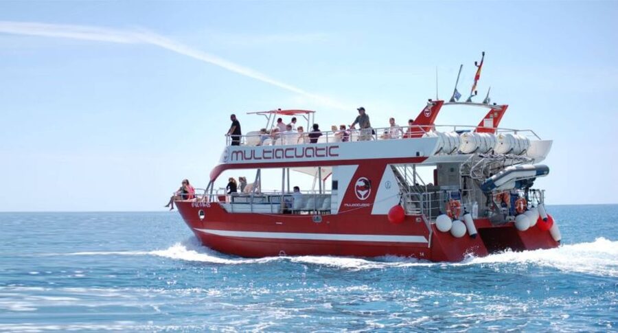 Gran Canaria: Dolphin and Whale Watching Cruise - Key things I’d focus on before you go