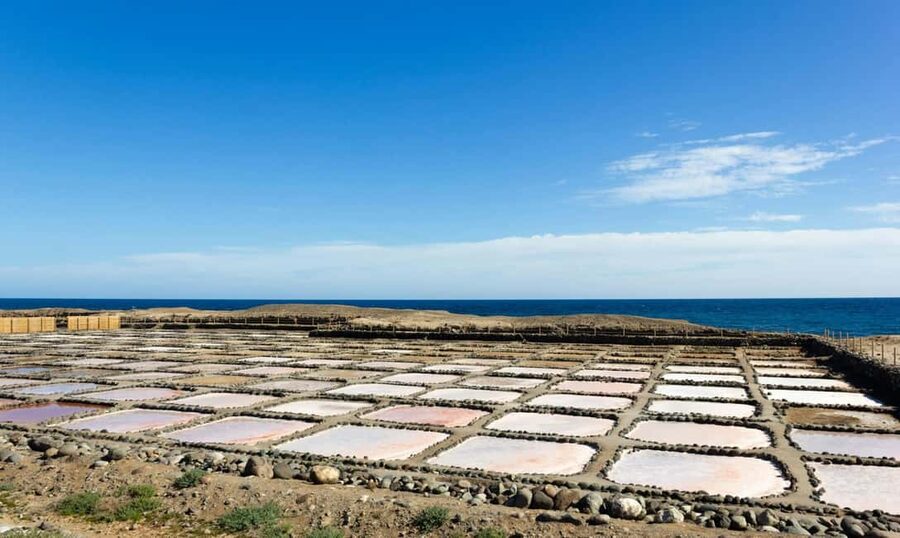 Gran Canaria: Food Tour with Distillery Visit & Lunch - Quick hits you should know