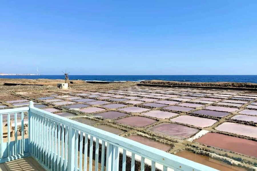 Gran Canaria: Food Tour with Distillery Visit & Lunch - Finca La Laja near Agaete: coffee, wrinkly potatoes, cheese, and mojo practice