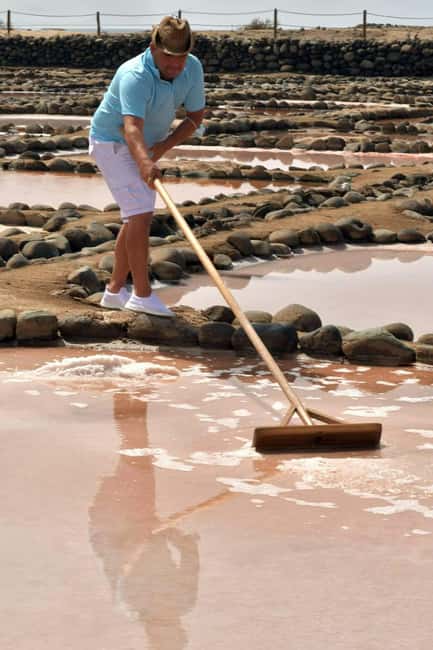 Gran Canaria: Food Tour with Distillery Visit & Lunch - Who should book this tour, and who might want a different plan