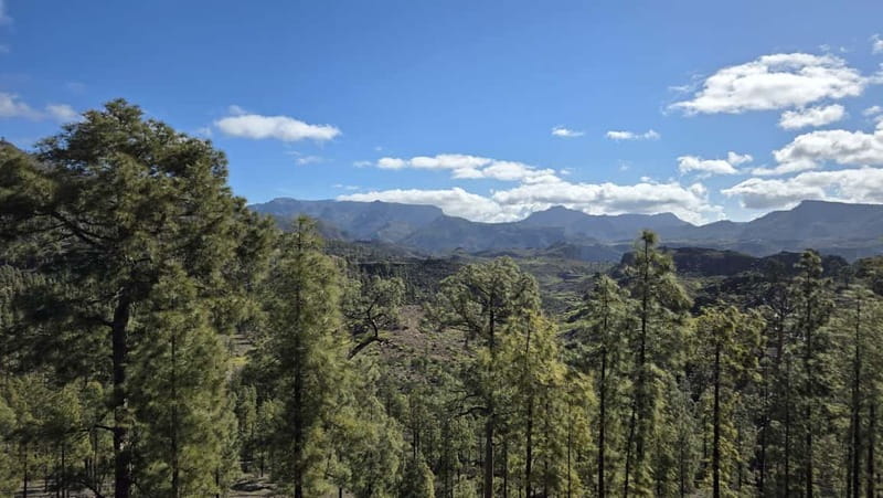 Gran Canaria: Full Coast Tour with Local Guide - La Aldea de San Nicolás, rural charm and breathing space