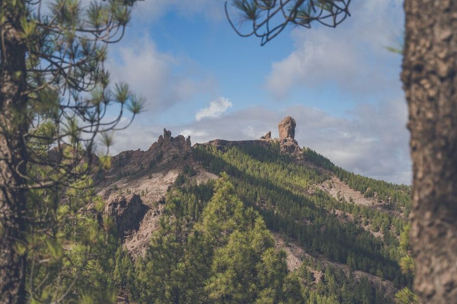 Gran Canaria: Full-Day Customizable Private Photography Tour - Price and value: why $324 can make sense for the right traveler