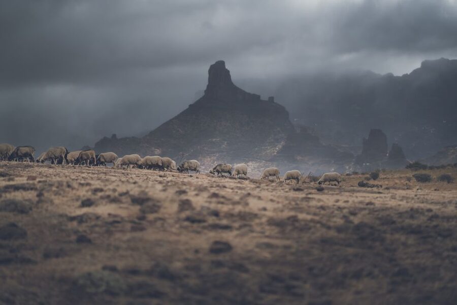 Gran Canaria: Full-Day Customizable Private Photography Tour - How the photographer actually changes the day