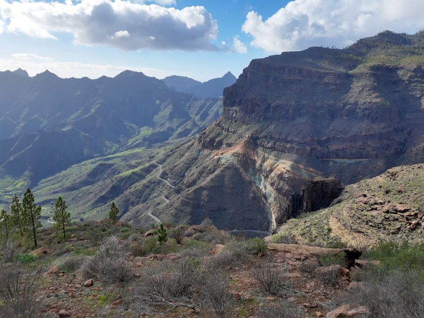 Gran Canaria: Full-Day Guided Hiking With Snacks - On-Trail Highlights: Flora, Pine Forests, and Big Viewpoints