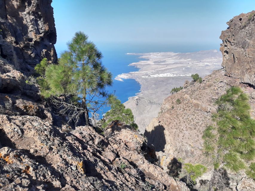 Gran Canaria: Full-Day Guided Hiking With Snacks - Food, Drinks, and Hiking Poles: The Included Stuff You’ll Appreciate