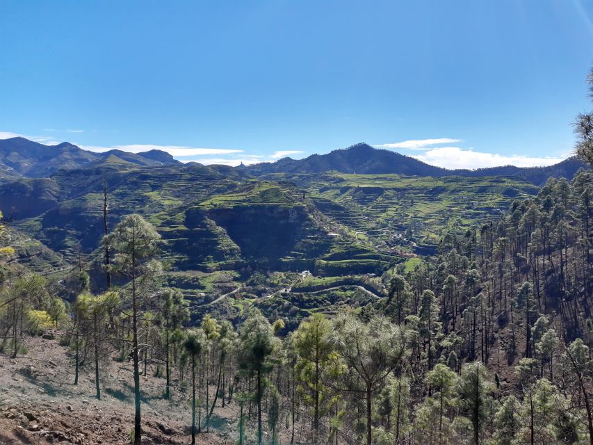 Gran Canaria: Full-Day Guided Hiking With Snacks - Value Check: Is $82 Good for What You Get?