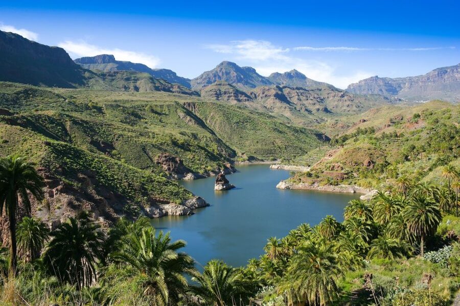 Gran Canaria: Full-Day VIP Tour by Bus - Firgas: A Small Town Stroll That Breaks the “Bus-to-Viewpoint” Pattern