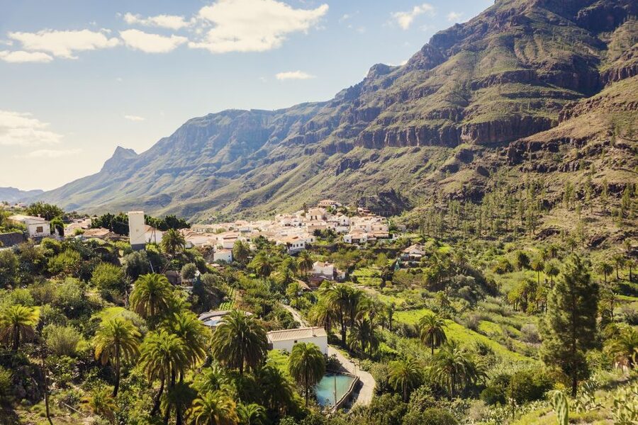 Gran Canaria: Full-Day VIP Tour by Bus - Roque Nublo, Pine and Almond Forests, and the Mountain-Drive Factor
