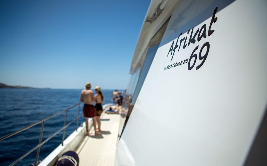 Gran Canaria: Fun Catamaran Cruise with Food and Drinks - Mogán Stop: Lunch, Swimming, and Snorkeling in Clear Water