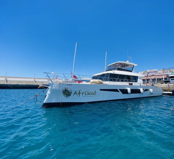 Gran Canaria: Fun Catamaran Cruise with Food and Drinks - Drinks On Board: Unlimited Beer, Sangria, and a Surprisingly Fun Bar Flow