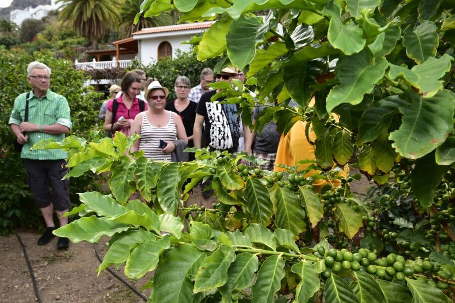 Gran Canaria: Grand Island Tour by Bus with Transfers - Las Palmas finishing move: Las Arenas, Las Canteras and Alfredo Kraus