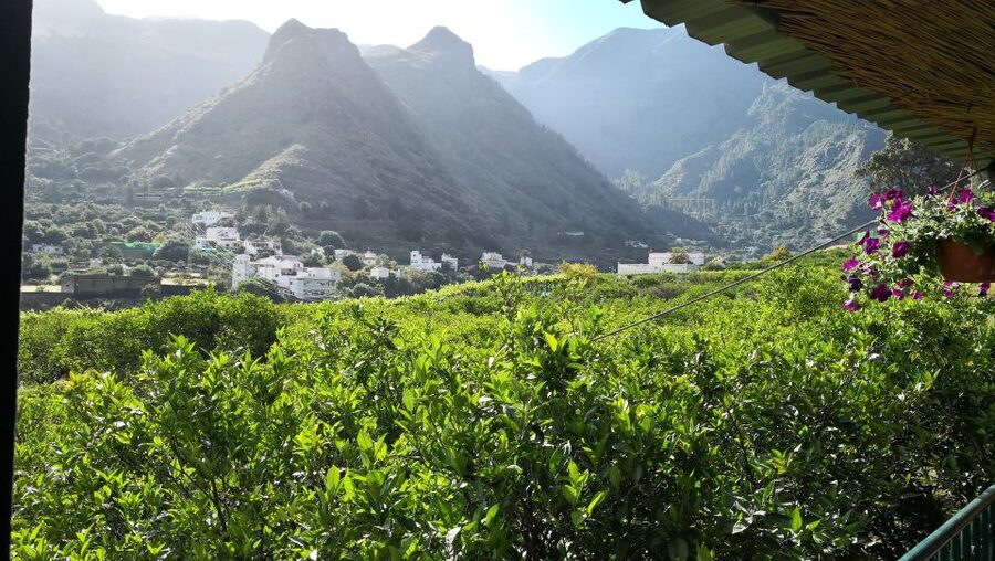 Gran Canaria: Grand Island Tour by Bus with Transfers - Puerto de Mogán, Little Venice and a calm-water boat trip