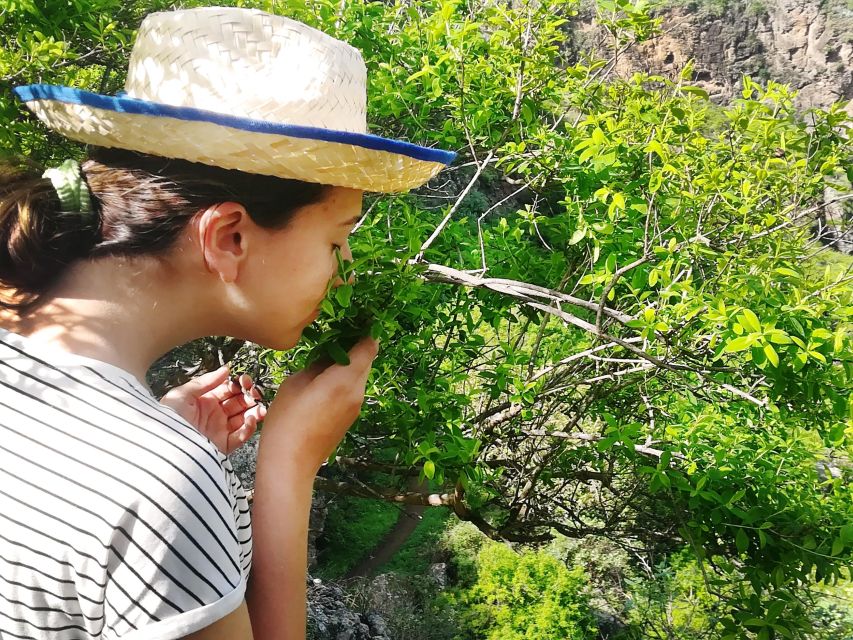 Gran Canaria: Green Witchcraft in the Magic Island - Green Witchcraft on Gran Canaria: what this 3-hour experience really feels like